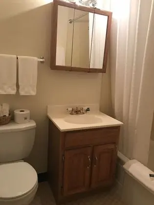 Traditional Tek Büyük Yataklı Oda, 2 Büyük (Queen) Boy Yatak, Sigara İçilmez