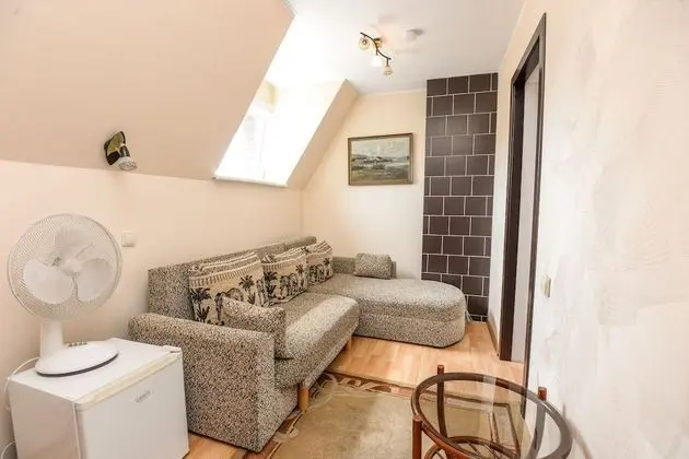 Basic Tek Büyük Yataklı Oda (Sofa Bed)