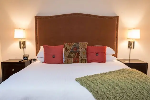 Standard Süit, 1 En Büyük (King) Boy Yatak (Euro King Studio)