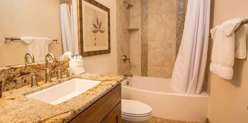 Standard Süit, 1 En Büyük (King) Boy Yatak (Euro King Studio)