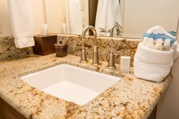 Standard Süit, 1 En Büyük (King) Boy Yatak (Euro King Studio)