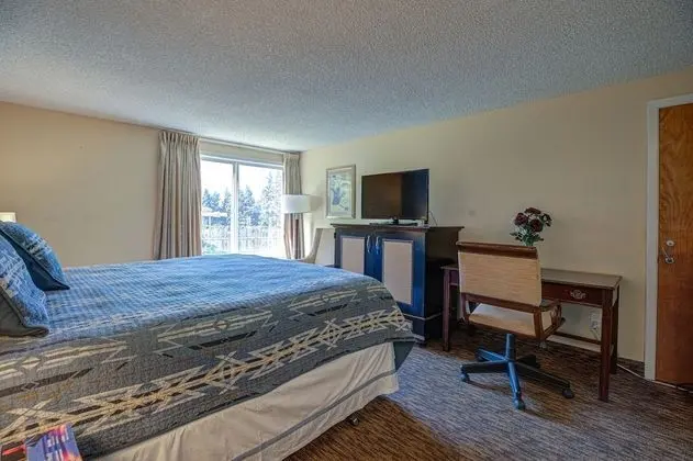 Standard Oda, 1 En Büyük (King) Boy Yatak, Sigara İçilmez