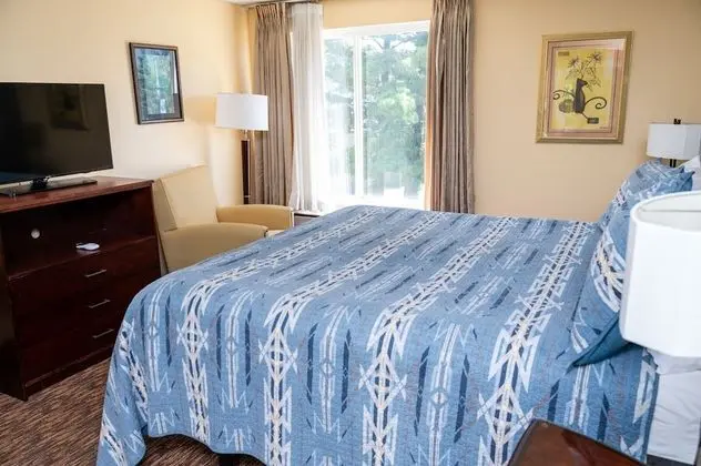 Standard Oda, 1 En Büyük (King) Boy Yatak, Sigara İçilmez