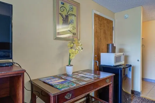 Standard Oda, 1 En Büyük (King) Boy Yatak, Sigara İçilmez