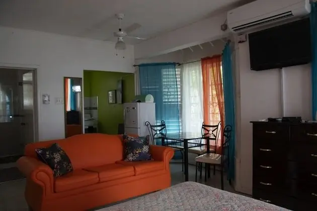 Panoramic Stüdyo Süit, 1 En Büyük (King) Boy Yatak, Sigara İçilmez