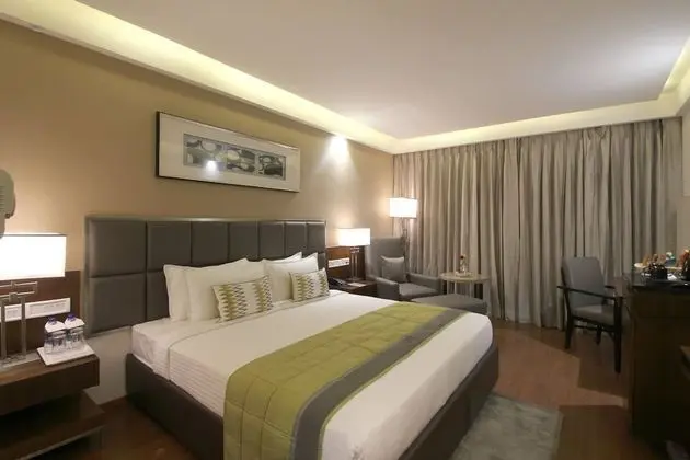 Premium Oda, Şehir Manzaralı