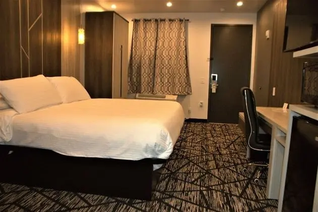 Standard Oda, 1 En Büyük (King) Boy Yatak, Engellilere Uygun, Sigara İçilmez (Walk-in Shower)