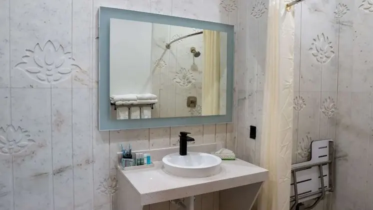Standard Oda, 1 En Büyük (King) Boy Yatak, Engellilere Uygun, Sigara İçilmez (Walk-in Shower)
