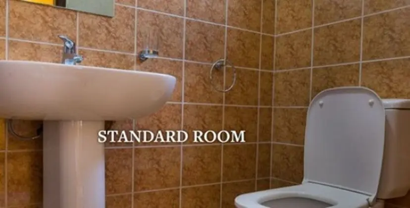 Standard Oda