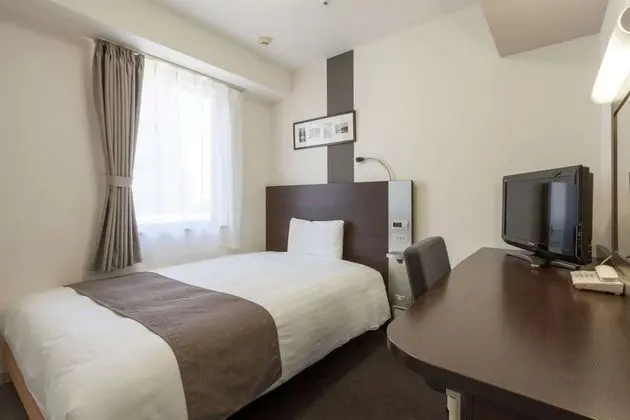 Economy Tek Büyük Yataklı Oda, Sigara İçilmez