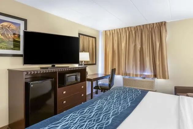 Standard Oda, 1 En Büyük (King) Boy Yatak, Engellilere Uygun, Sigara İçilmez (Accessible Bathtub)