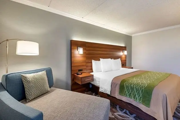 Accessible Room, 1 King Bed, Roll-In Shower, Non Smoking