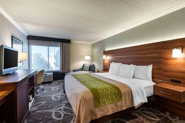 Accessible Room, 1 King Bed, Roll-In Shower, Non Smoking