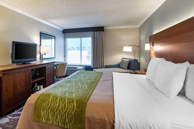 Accessible Room, 1 King Bed, Roll-In Shower, Non Smoking