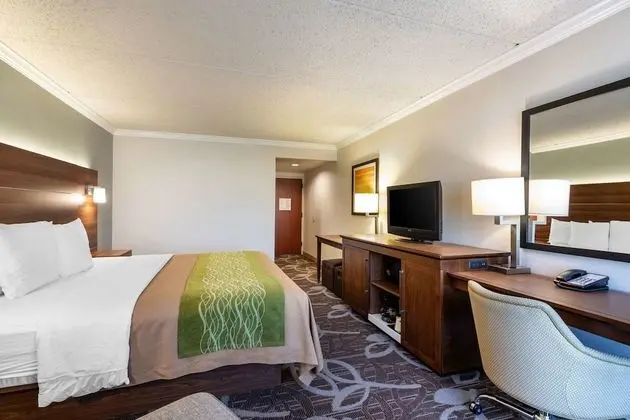 Accessible Room, 1 King Bed, Roll-In Shower, Non Smoking