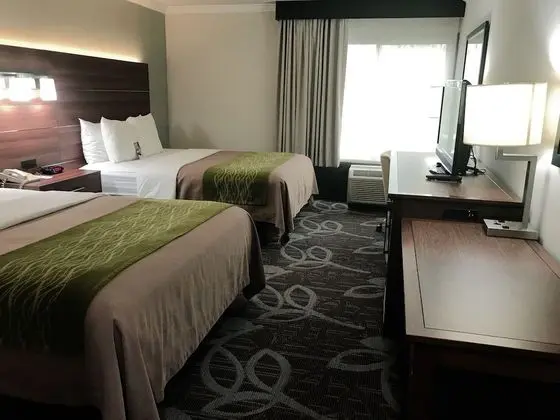 Standard Room, 2 Queen Beds, City Side, Non Smoking