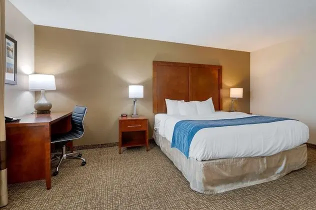 Oda, 1 En Büyük (King) Boy Yatak, Engellilere Uygun, Sigara İçilmez