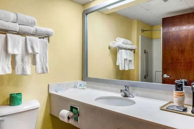 Oda, 1 En Büyük (King) Boy Yatak, Engellilere Uygun, Sigara İçilmez (Roll-In Shower)