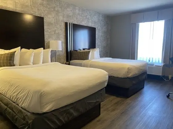 Premium Süit, 2 Çift Kişilik Yatak