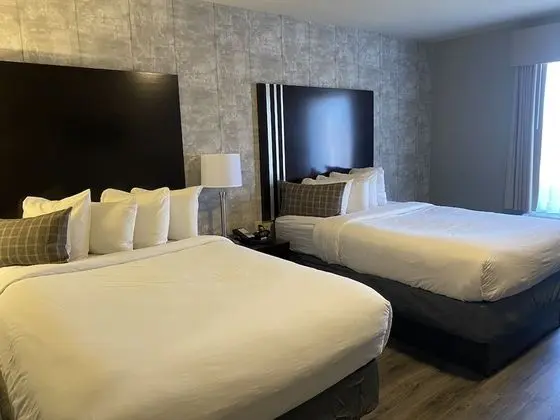 Premium Süit, 2 Çift Kişilik Yatak