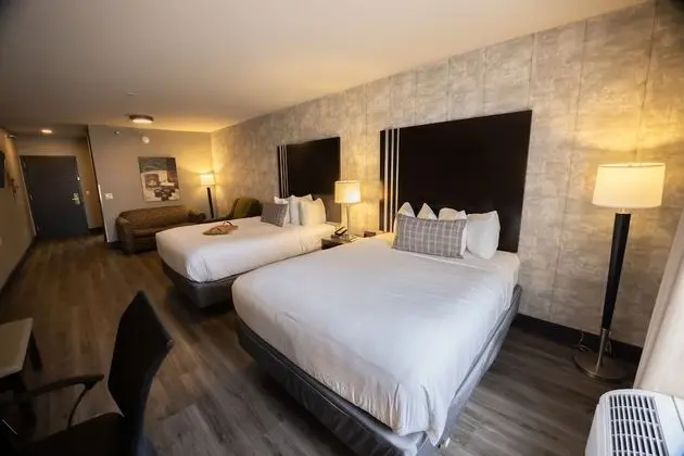 Premium Süit, 2 Çift Kişilik Yatak