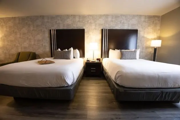Premium Süit, 2 Çift Kişilik Yatak