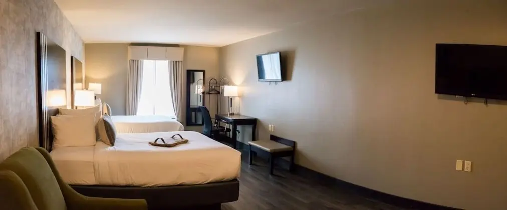 Premium Süit, 2 Çift Kişilik Yatak