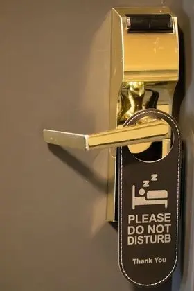 Premium Süit, 2 Çift Kişilik Yatak
