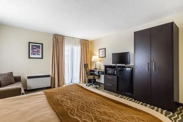 Standard Oda, 1 En Büyük (King) Boy Yatak ve Çekyat, Sigara İçilmez (Dog Friendly)