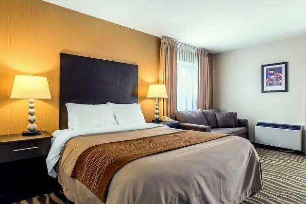 Standard Room, 1 Queen Bed with Sofa bed, Non Smoking - Upper Floor (2nd Floor) No Pets Allowed
