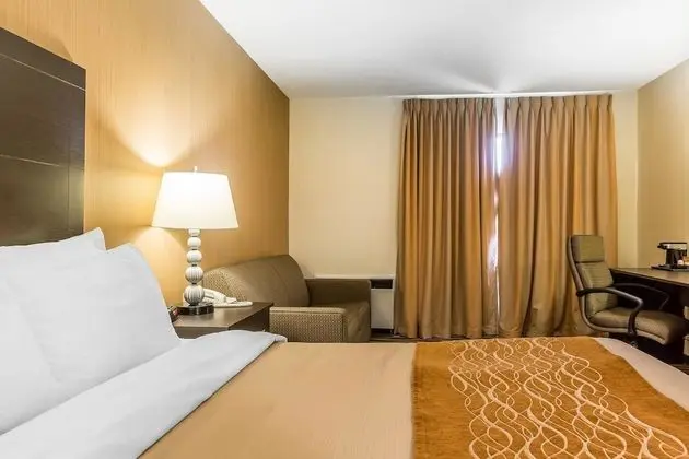 Standard Room, 1 Queen Bed with Sofa bed, Non Smoking - Upper Floor (2nd Floor) No Pets Allowed