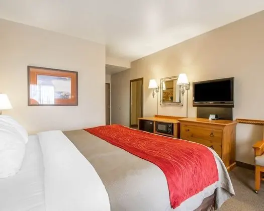 Standard Oda, 1 En Büyük (King) Boy Yatak, Sigara İçilmez