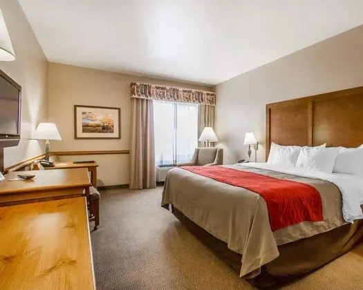 Standard Oda, 1 En Büyük (King) Boy Yatak, Sigara İçilmez