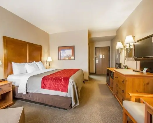 Standard Oda, 1 En Büyük (King) Boy Yatak, Sigara İçilmez