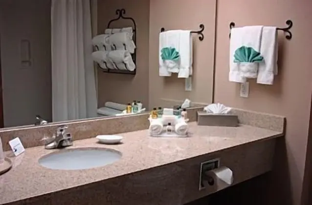 Standard Oda, 1 En Büyük (King) Boy Yatak, Sigara İçilmez