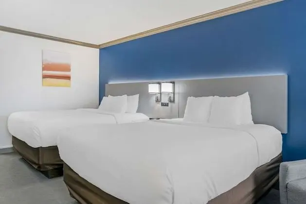 Standard Oda, 2 Büyük (Queen) Boy Yatak, Sigara İçilmez (Pet Friendly)