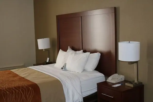 Standard Tek Büyük Yataklı Oda, 2 Çift Kişilik Yatak, Sigara İçilmez