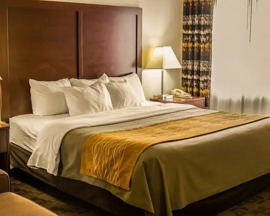 Standard Oda, 1 En Büyük (King) Boy Yatak, Sigara İçilmez