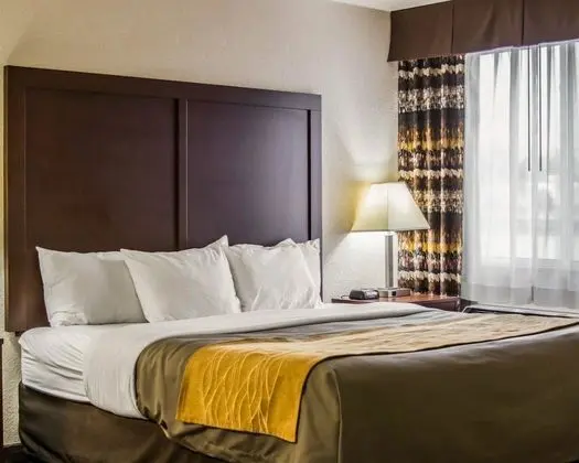 Standard Oda, 1 En Büyük (King) Boy Yatak, Sigara İçilmez, Sıcak Su Küveti