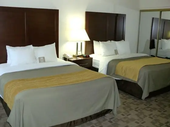 Standard Oda, 2 Büyük (Queen) Boy Yatak, Sigara İçilmez