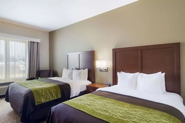 Oda, 2 Büyük (Queen) Boy Yatak, Engellilere Uygun, Sigara İçilmez