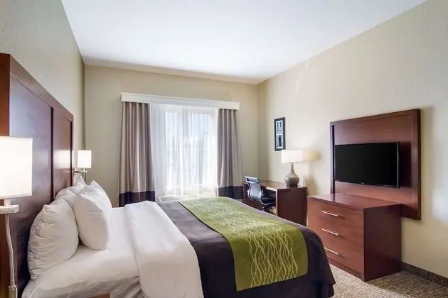 Standard Oda, 1 En Büyük (King) Boy Yatak, Sigara İçilmez