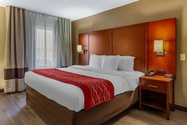 King Bed, Poolside