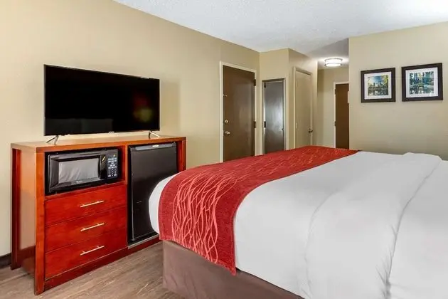 King Bed, Poolside