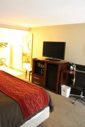 Standard Oda, 1 En Büyük (King) Boy Yatak, Sigara İçilmez, Şehir Manzaralı