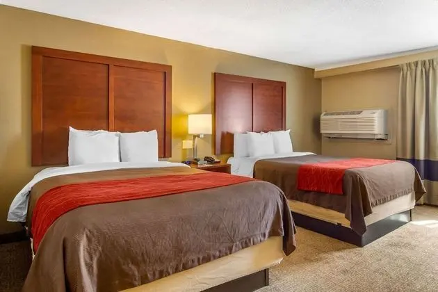 Standard Oda, 2 Büyük (Queen) Boy Yatak, Sigara İçilmez (Pet Friendly Room)