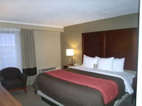 Standard Oda, 2 Büyük (Queen) Boy Yatak, Sigara İçilmez (Pet Friendly Room)
