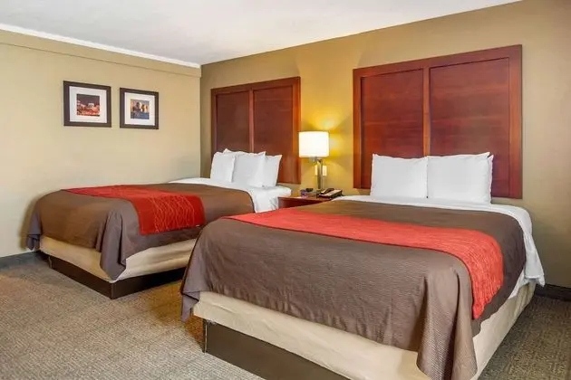 Standard Oda, 2 Büyük (Queen) Boy Yatak, Sigara İçilmez (Pet Friendly Room)