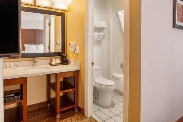 Deluxe Oda, Birden Çok Yatak, Sigara İçilmez