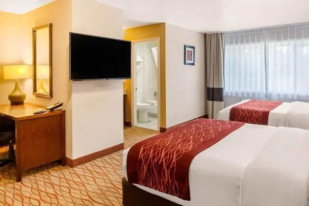 Deluxe Oda, Birden Çok Yatak, Sigara İçilmez